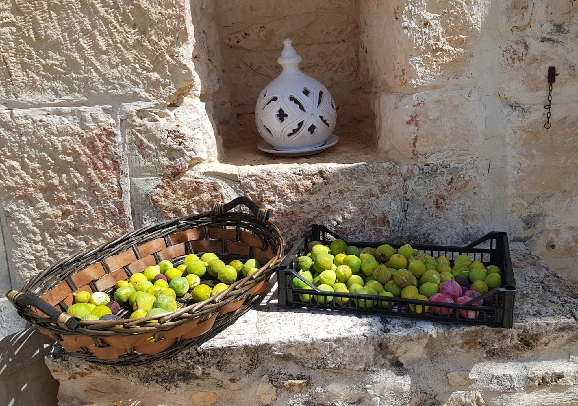 Podere Del Gelso Bianco, Vacation Rental Ostuni Bagian luar foto