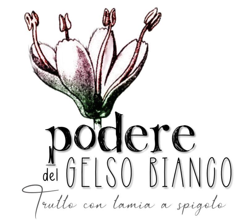 Podere Del Gelso Bianco, Vacation Rental Ostuni Bagian luar foto